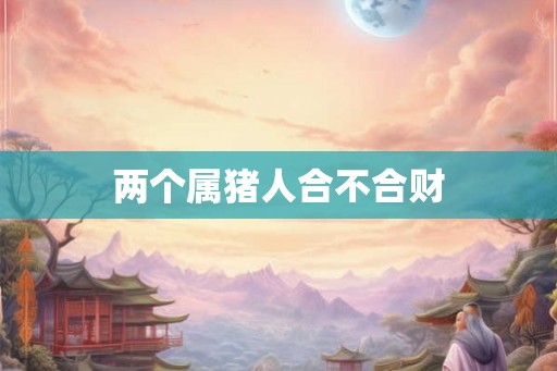 两个属猪人合不合财