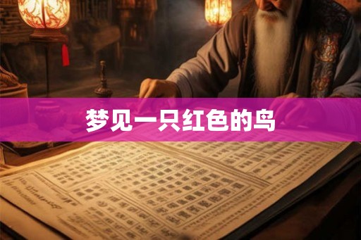 梦见一只红色的鸟