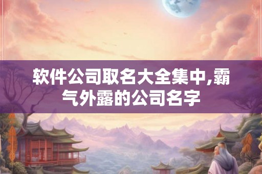 软件公司取名大全集中,霸气外露的公司名字