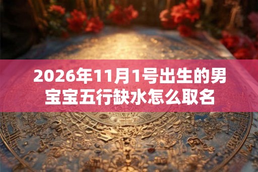 2026年11月1号出生的男宝宝五行缺水怎么取名