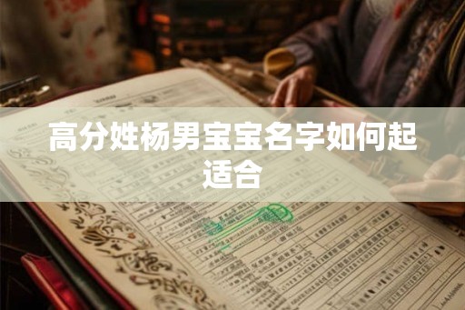 高分姓杨男宝宝名字如何起适合