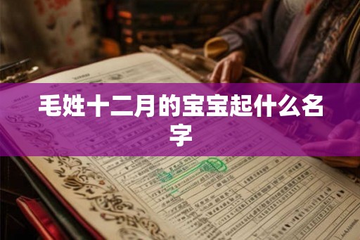 毛姓十二月的宝宝起什么名字