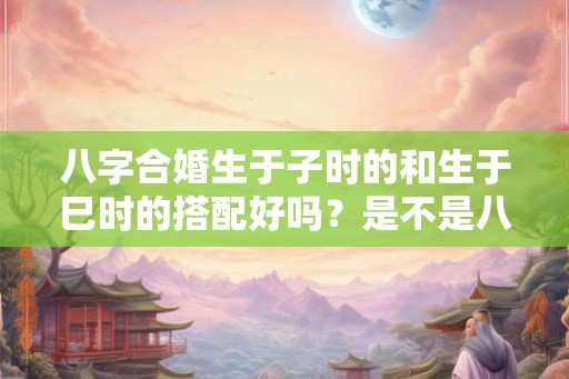八字合婚生于子时的和生于巳时的搭配好吗？是不是八字相合？