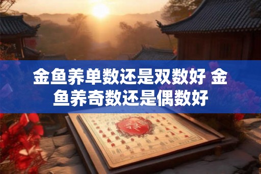 金鱼养单数还是双数好 金鱼养奇数还是偶数好