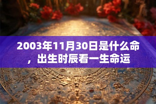 2003年11月30日是什么命，出生时辰看一生命运