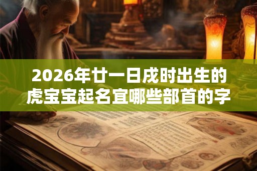 2026年廿一日戌时出生的虎宝宝起名宜哪些部首的字