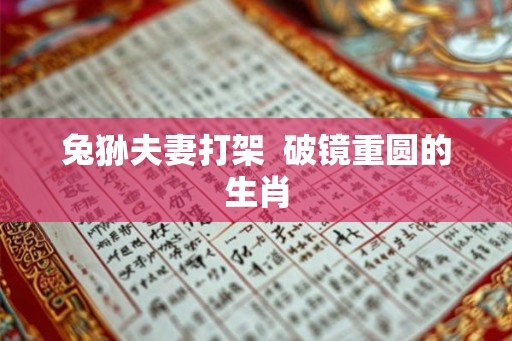 兔狲夫妻打架  破镜重圆的生肖