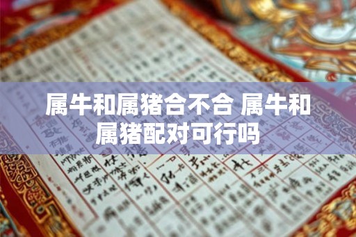 属牛和属猪合不合 属牛和属猪配对可行吗
