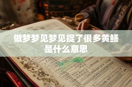 做梦梦见梦见捉了很多黄鳝是什么意思