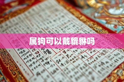 属狗可以戴貔貅吗