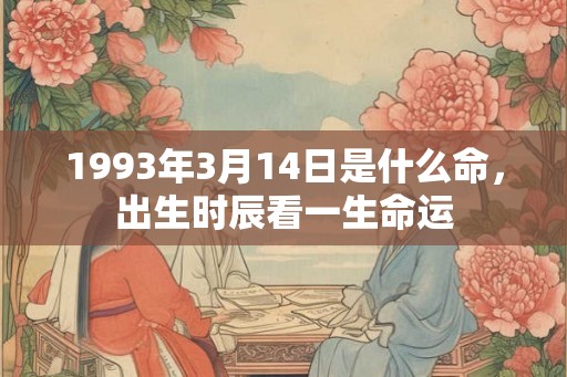 1993年3月14日是什么命，出生时辰看一生命运