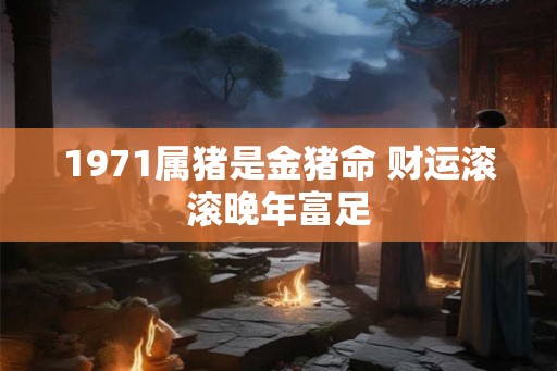1971属猪是金猪命 财运滚滚晚年富足