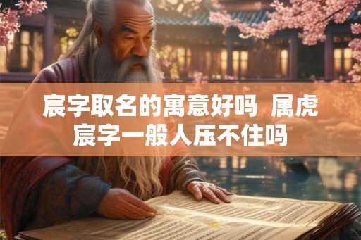宸字取名的寓意好吗  属虎宸字一般人压不住吗