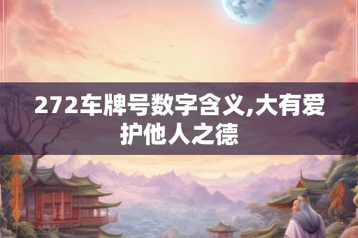 272车牌号数字含义,大有爱护他人之德