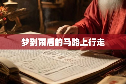 梦到雨后的马路上行走