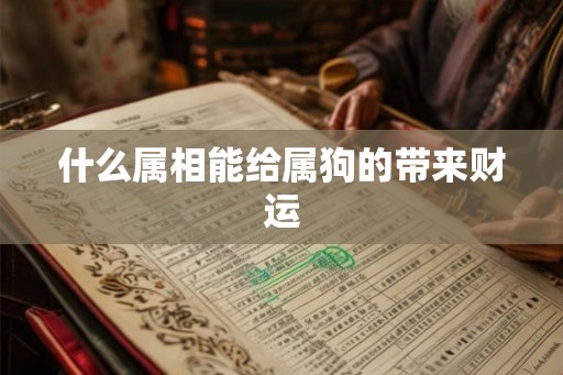 什么属相能给属狗的带来财运