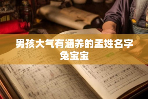 男孩大气有涵养的孟姓名字兔宝宝