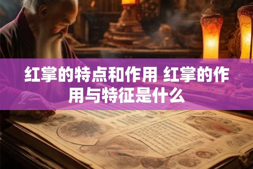 红掌的特点和作用 红掌的作用与特征是什么