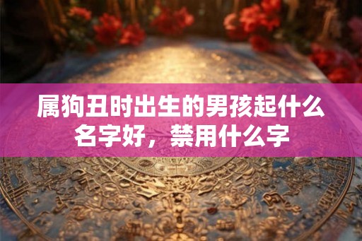 属狗丑时出生的男孩起什么名字好，禁用什么字