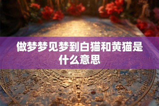 做梦梦见梦到白猫和黄猫是什么意思