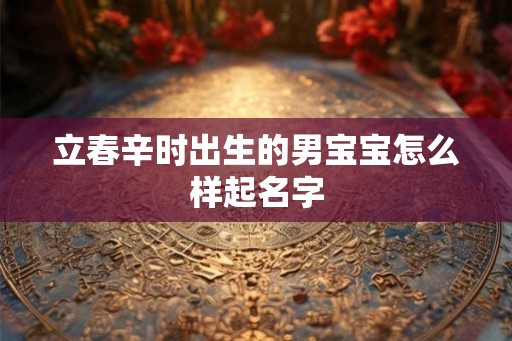 立春辛时出生的男宝宝怎么样起名字