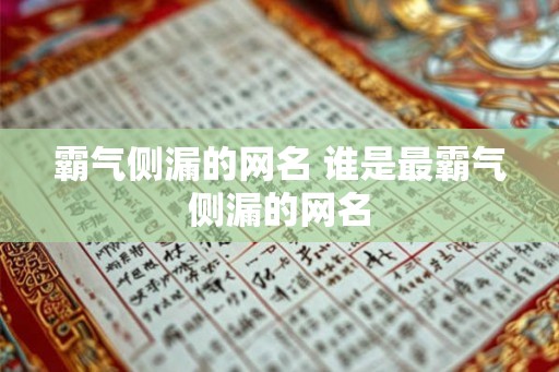 霸气侧漏的网名 谁是最霸气侧漏的网名