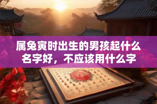 属兔寅时出生的男孩起什么名字好，不应该用什么字