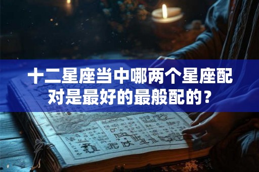 十二星座当中哪两个星座配对是最好的最般配的？