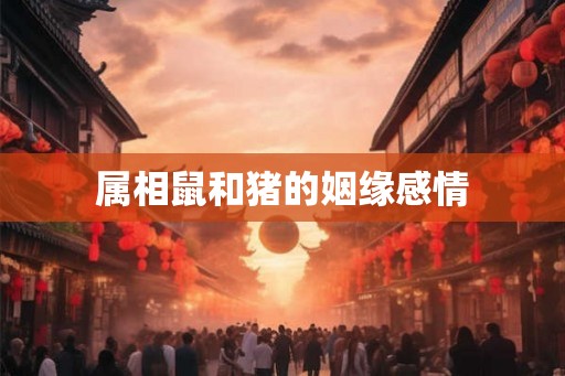 属相鼠和猪的姻缘感情
