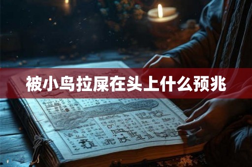 被小鸟拉屎在头上什么预兆