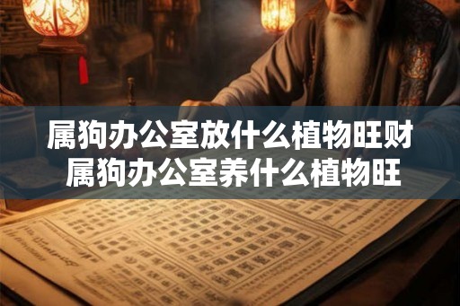 属狗办公室放什么植物旺财 属狗办公室养什么植物旺财