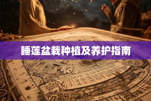 睡莲盆栽种植及养护指南