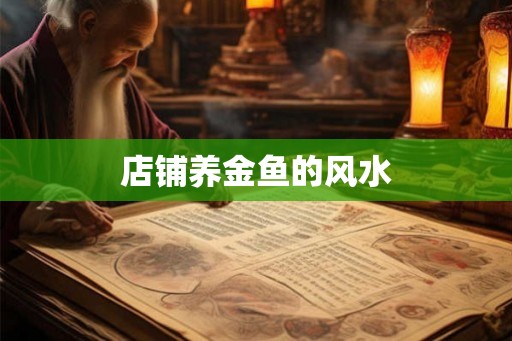 店铺养金鱼的风水