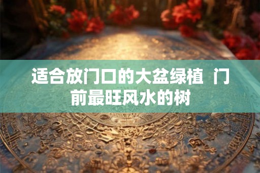 适合放门口的大盆绿植  门前最旺风水的树