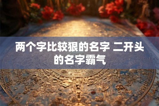 两个字比较狠的名字 二开头的名字霸气