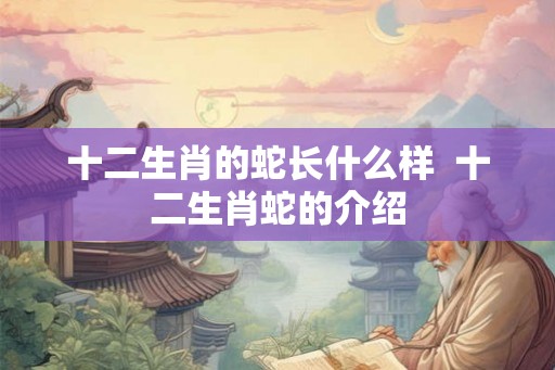 十二生肖的蛇长什么样  十二生肖蛇的介绍