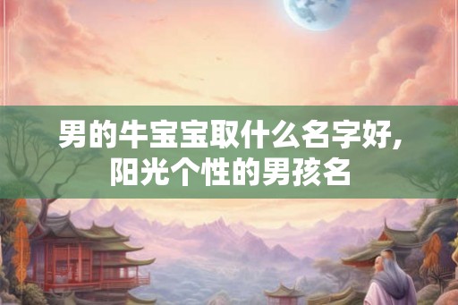 男的牛宝宝取什么名字好,阳光个性的男孩名