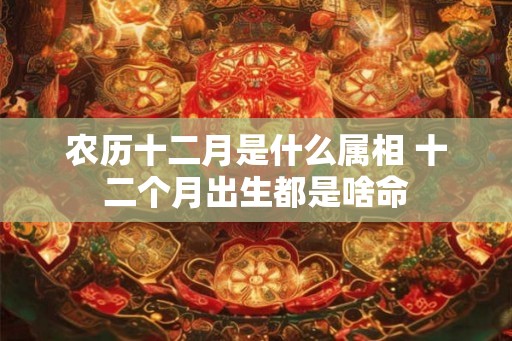 农历十二月是什么属相 十二个月出生都是啥命 农历十二月是什么属相 十二个月出生都是啥命