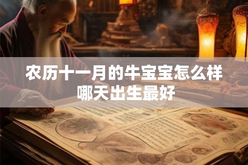 农历十一月的牛宝宝怎么样 哪天出生最好