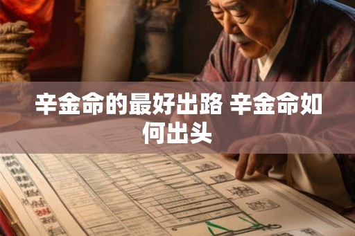 辛金命的最好出路 辛金命如何出头
