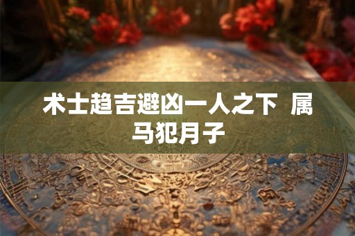 术士趋吉避凶一人之下  属马犯月子