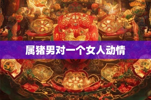 属猪男对一个女人动情