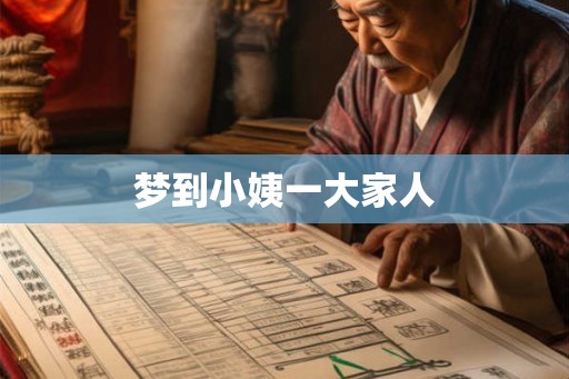 梦到小姨一大家人