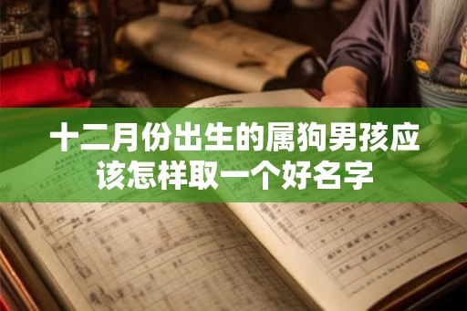 十二月份出生的属狗男孩应该怎样取一个好名字