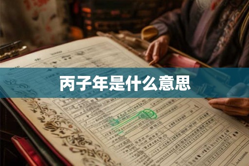 丙子年是什么意思