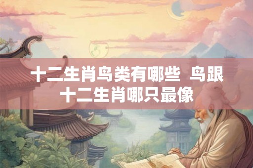 十二生肖鸟类有哪些  鸟跟十二生肖哪只最像
