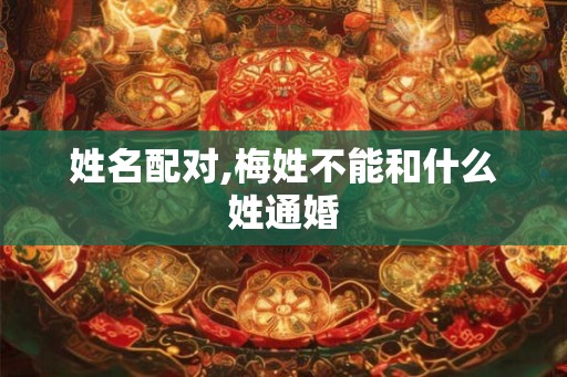 姓名配对,梅姓不能和什么姓通婚 姓名配对,梅姓不能和什么姓通婚