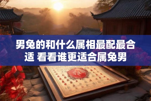 男兔的和什么属相最配最合适 看看谁更适合属兔男