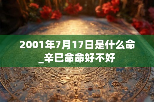 2001年7月17日是什么命_辛巳命命好不好