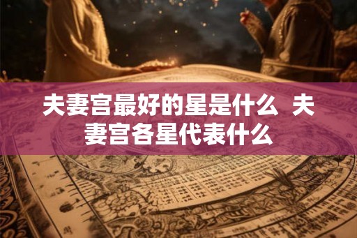 夫妻宫最好的星是什么  夫妻宫各星代表什么